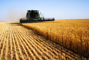 Agricultura