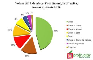 CA sortimente Profructta, ian-iun16