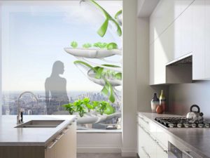 Garden Pod - Ovidiu Subtire (2)