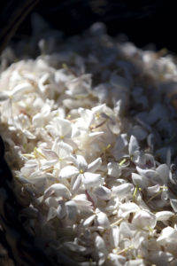 Jadore_Fleurs_Livre_0508_F39