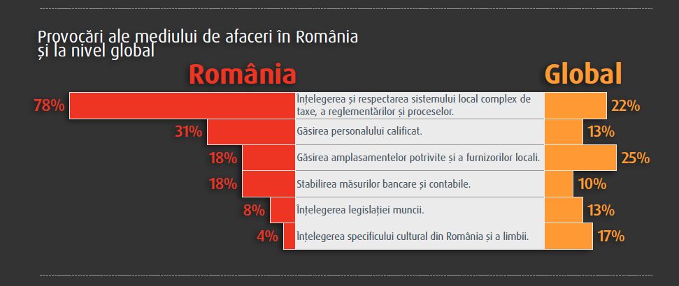 provocari mediul de afaceri