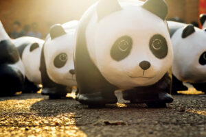 11. wwf shutterstock_393686026